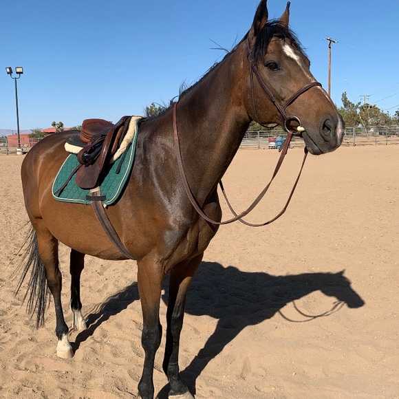 Meet your Posher, Kelly - Picture 15 of 16